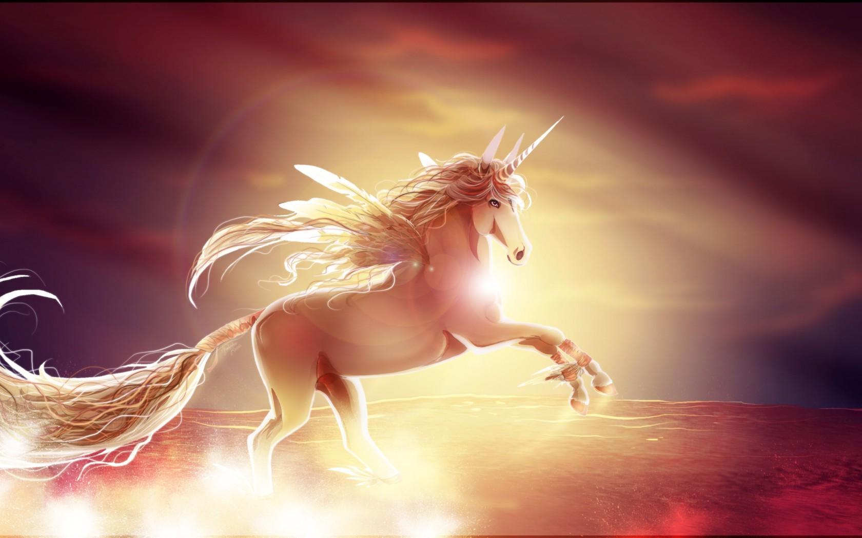 3D Unicorn Wallpapers Wallpaper Cave
