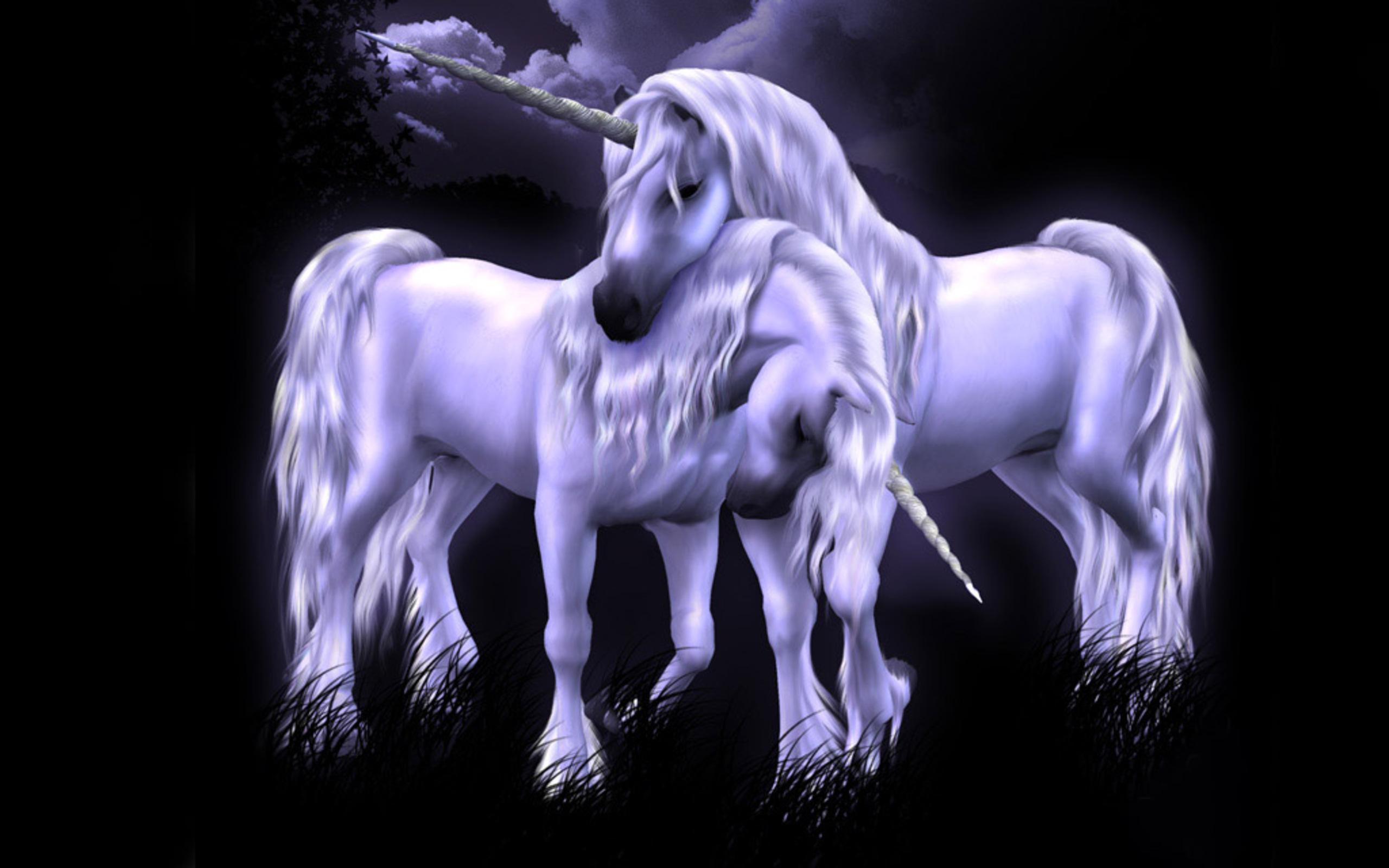 3D Unicorn Wallpapers Wallpaper Cave