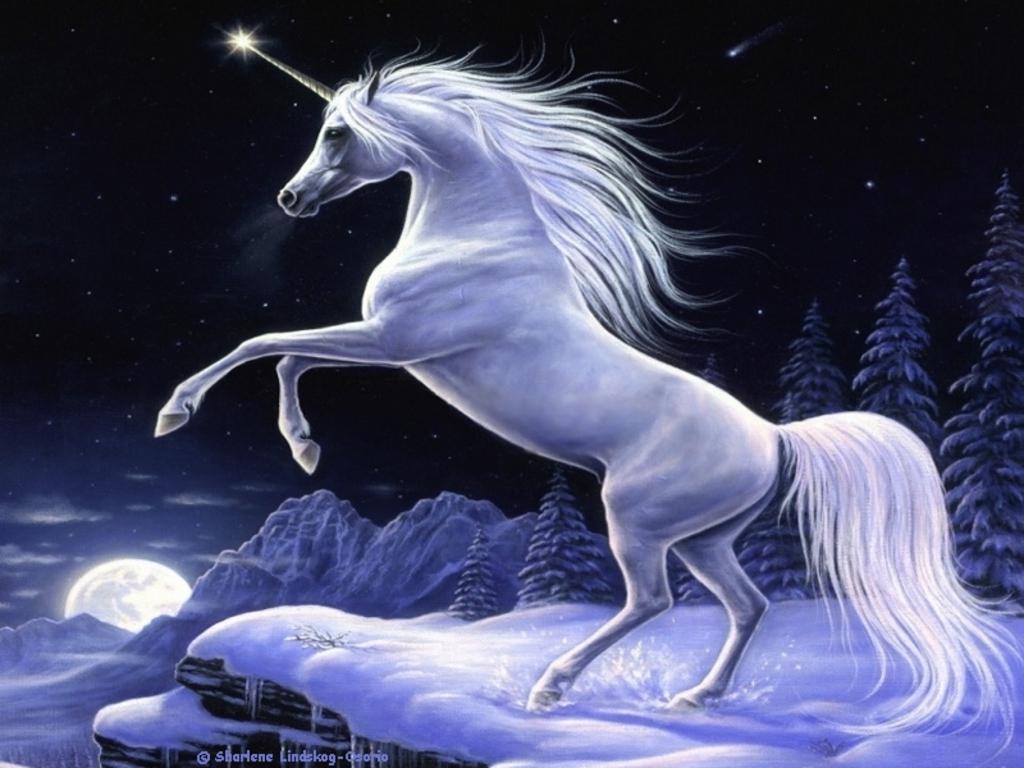 3D Unicorn Wallpapers Wallpaper Cave