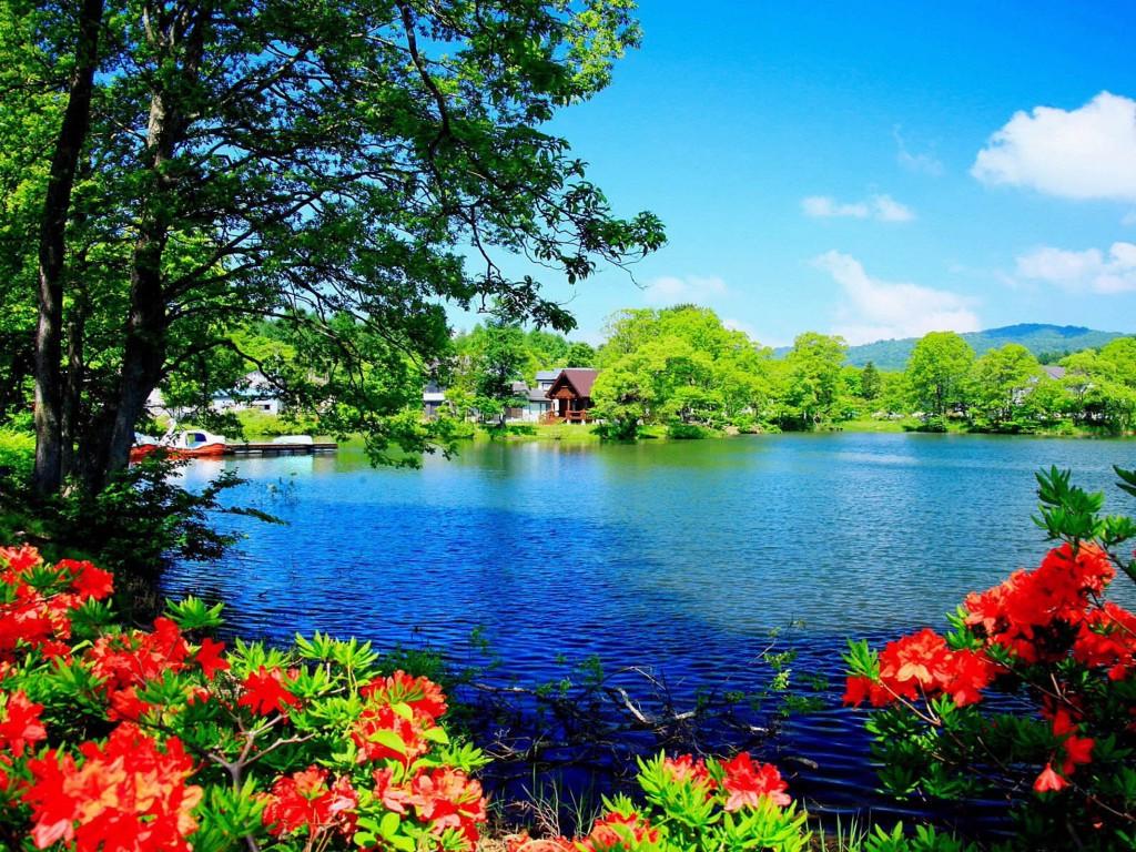 Most Beautiful HD Wallpapers Wallpaper Cave