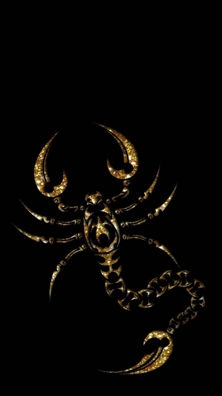 Black Scorpio Wallpapers Wallpaper Cave