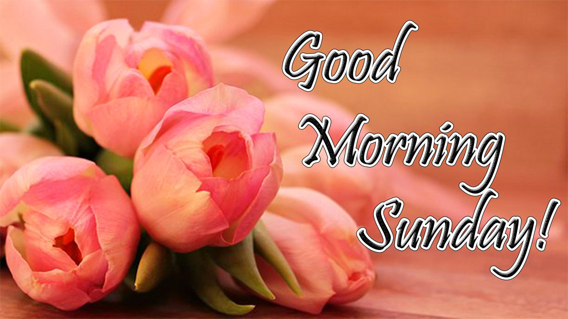 Good Morning Sunday Wallpapers Wallpaper Cave