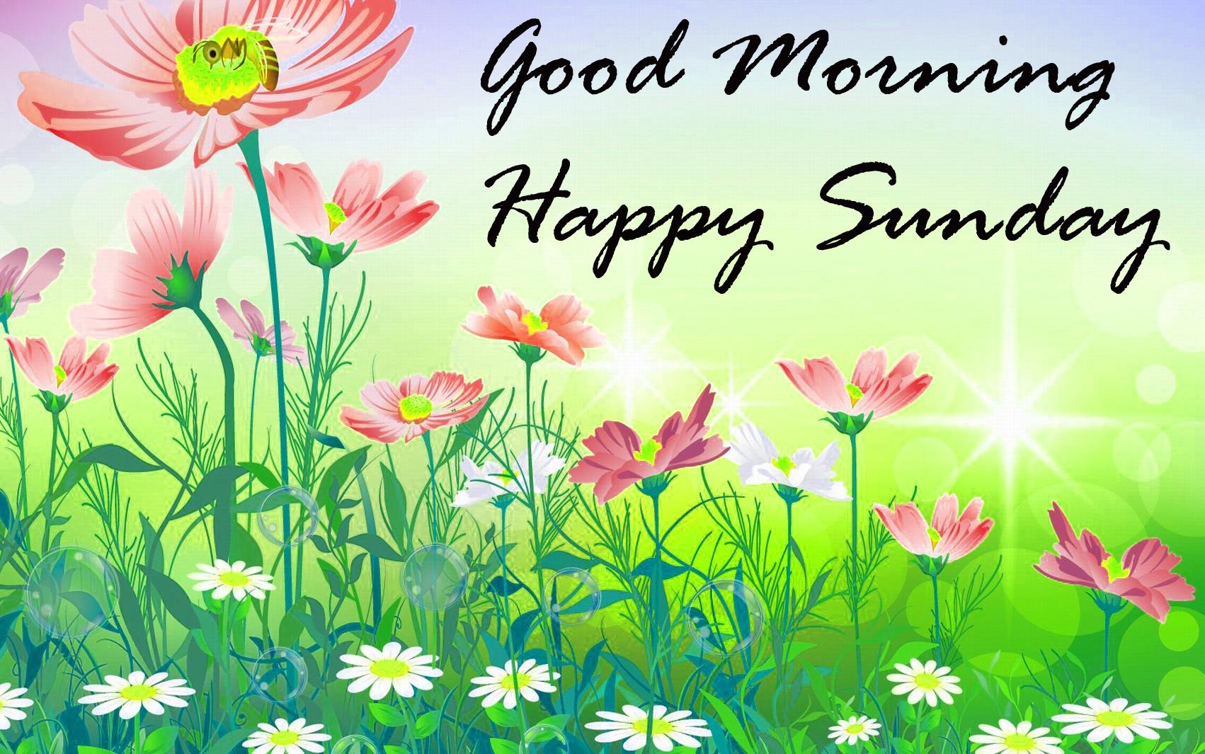 Good Morning Sunday Wallpapers Wallpaper Cave