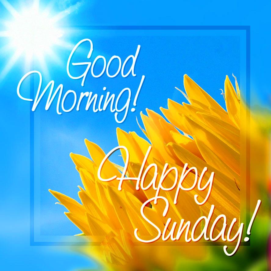 Good Morning Sunday Wallpapers Wallpaper Cave