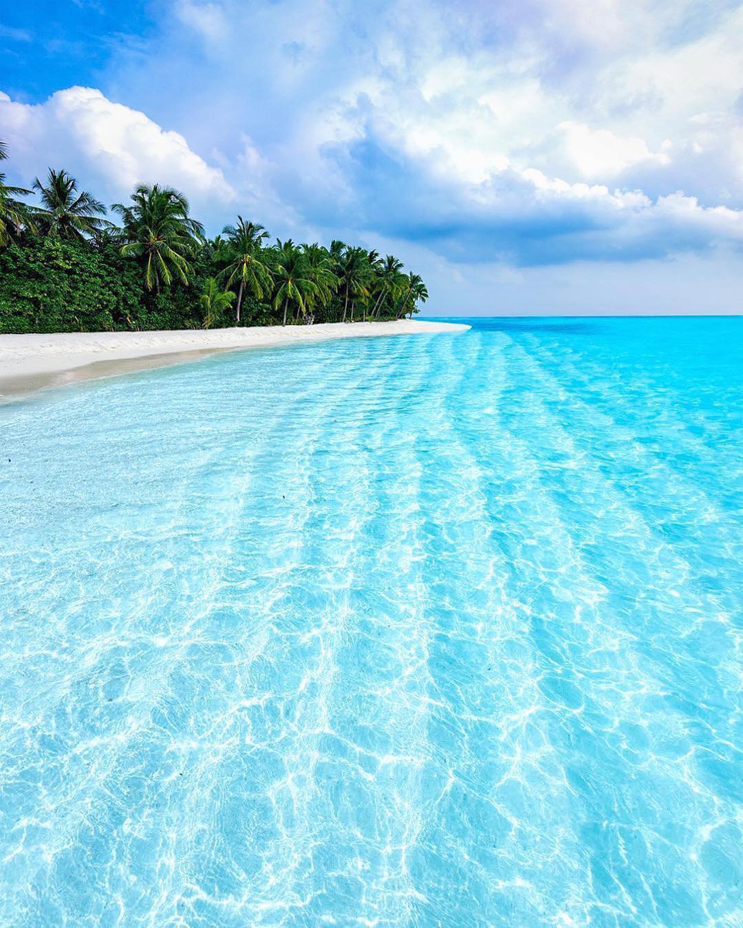 Jio Phone Natural Wallpapers Wallpaper Cave