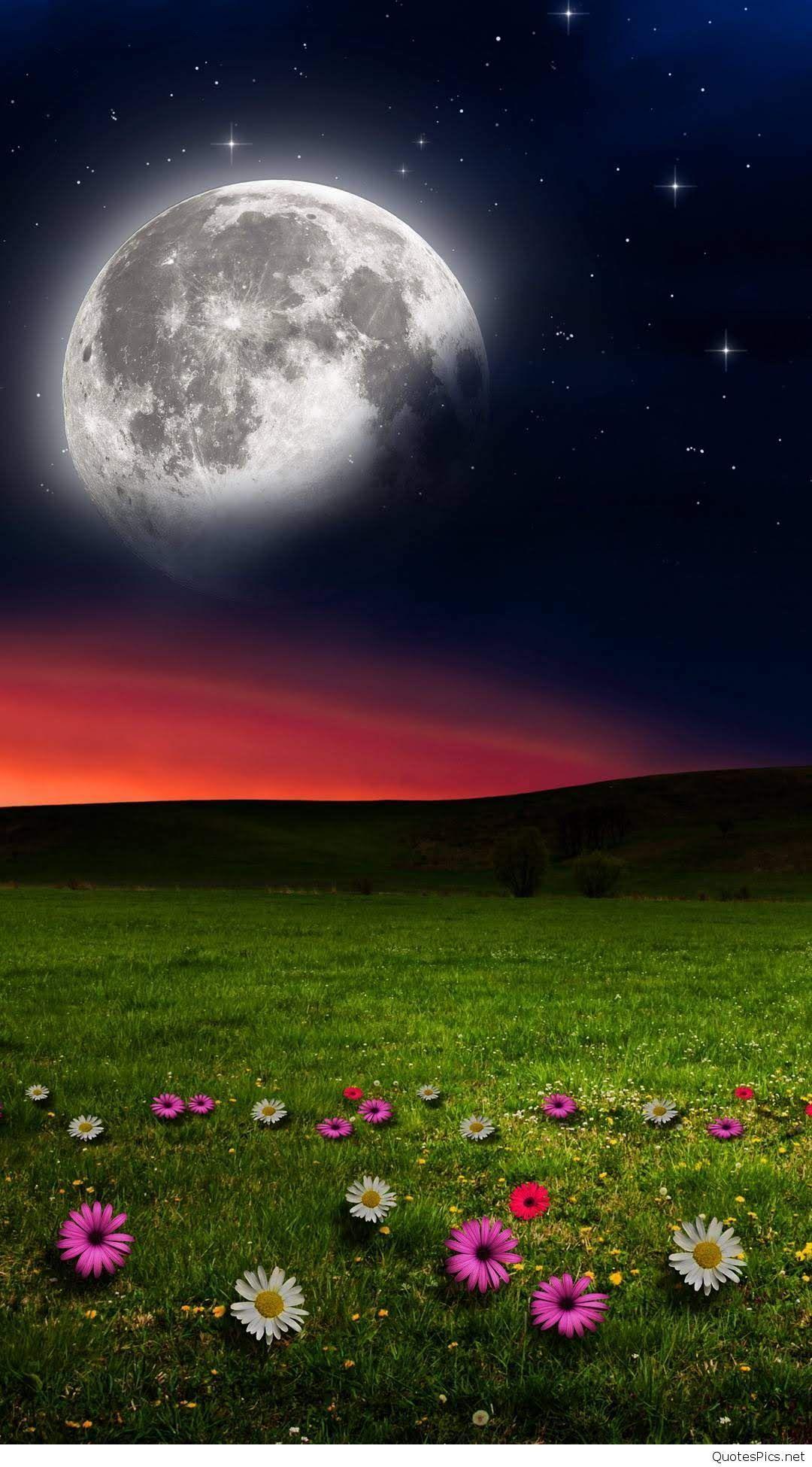 Hd Mobile Nature Wallpapers Wallpaper Cave