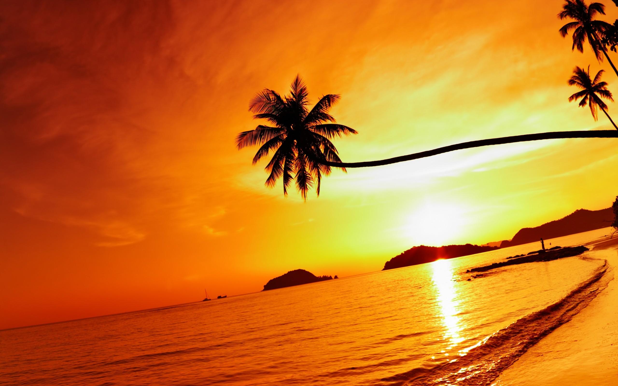 Tropical Beach Sunset Wallpapers Wallpaper Cave