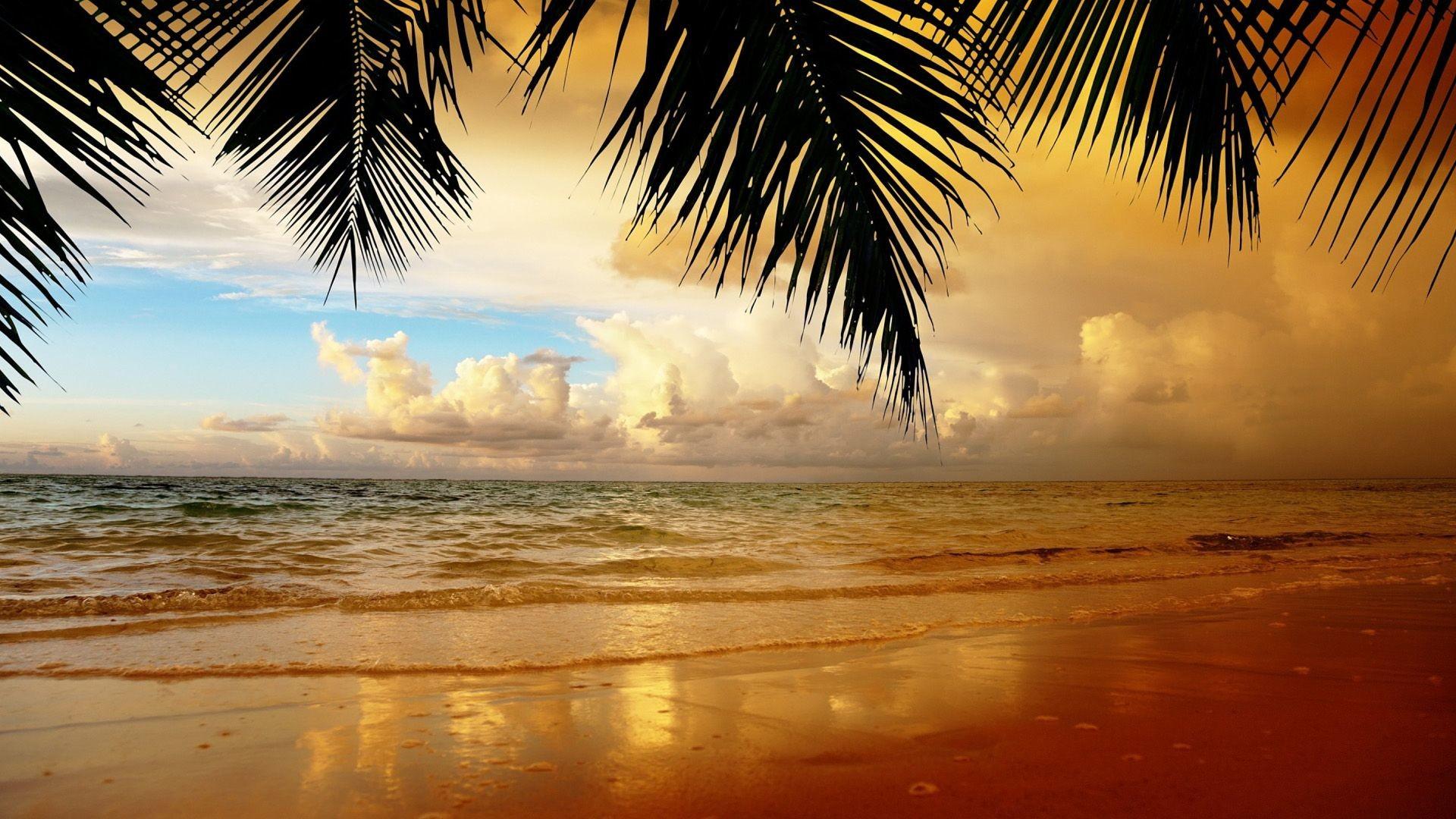 Tropical Beach Sunset Wallpapers Wallpaper Cave
