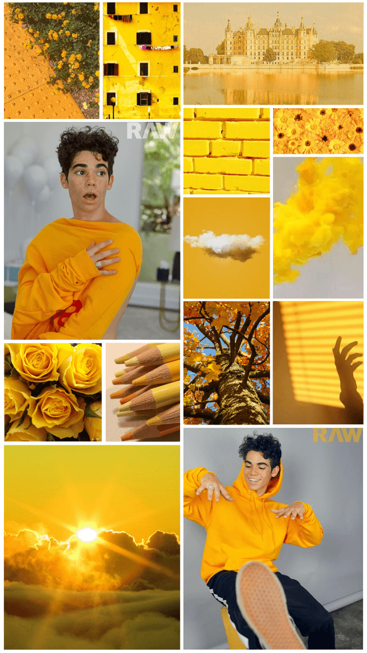 Cameron Boyce HD Wallpapers Wallpaper Cave