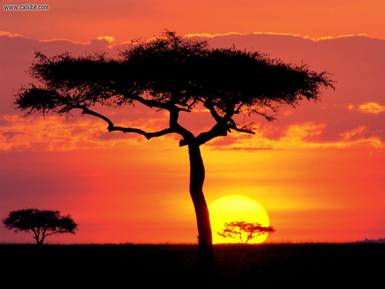 Maasai Mara Wallpapers Wallpaper Cave