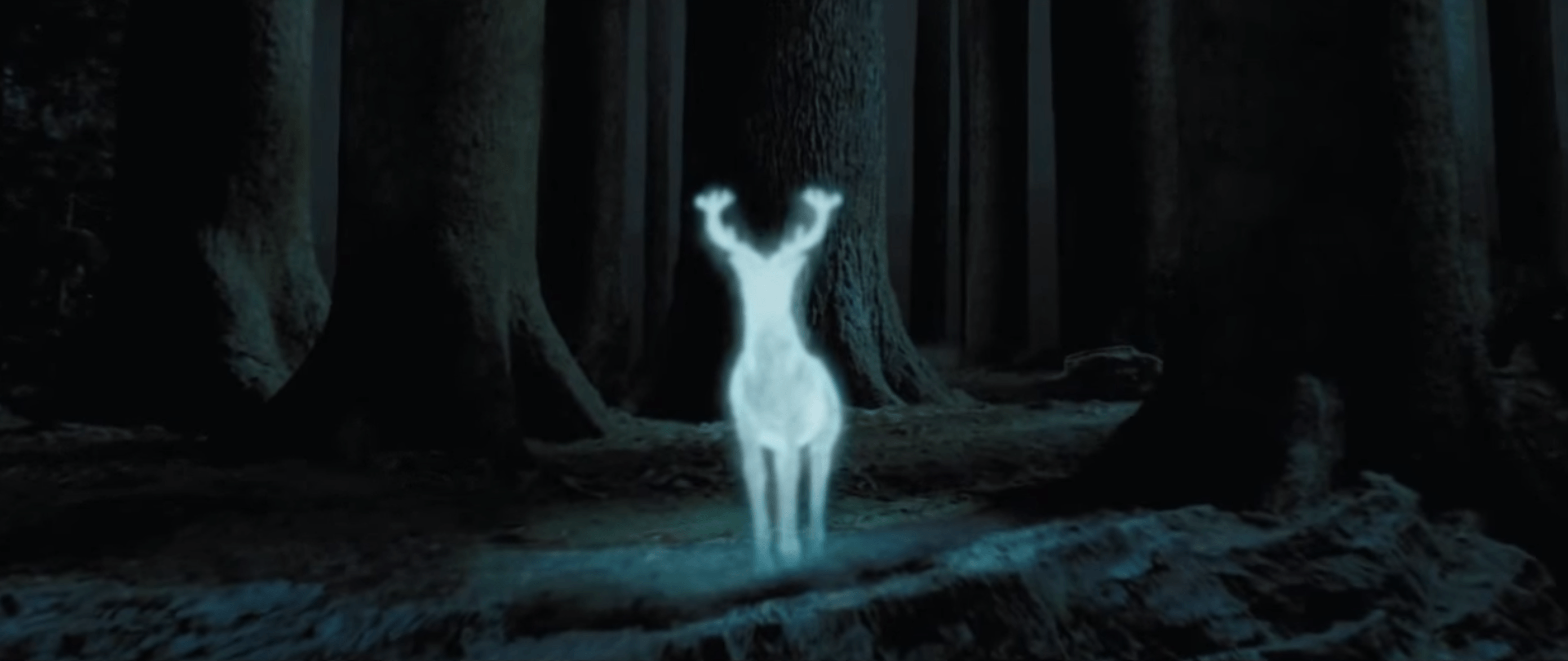 Patronus Desktop Wallpapers Wallpaper Cave