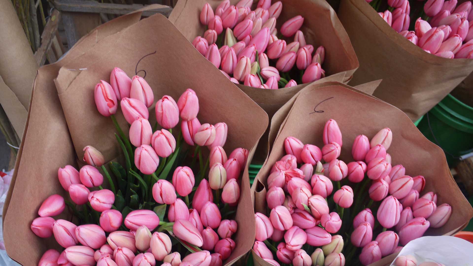 Flower Market Wallpapers Wallpaper Cave