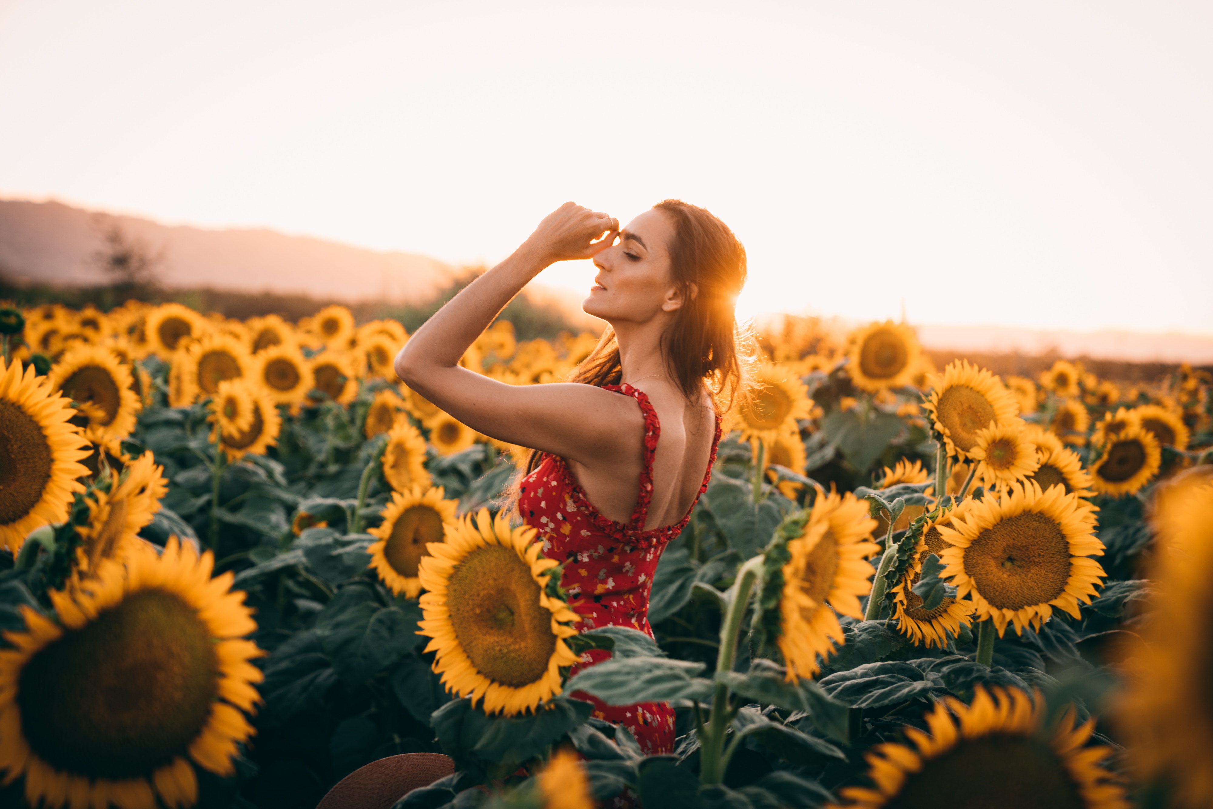 Sunflower Girl Wallpapers Wallpaper Cave