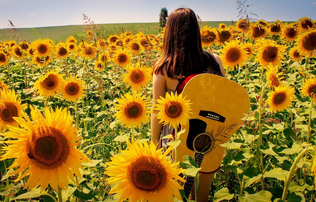 Sunflower Girl Wallpapers Wallpaper Cave
