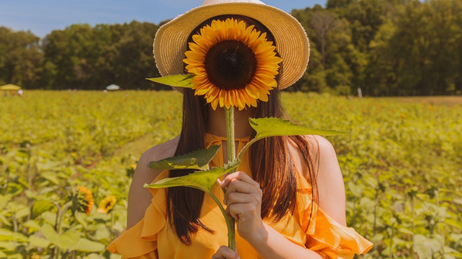 Sunflower Girl Wallpapers Wallpaper Cave