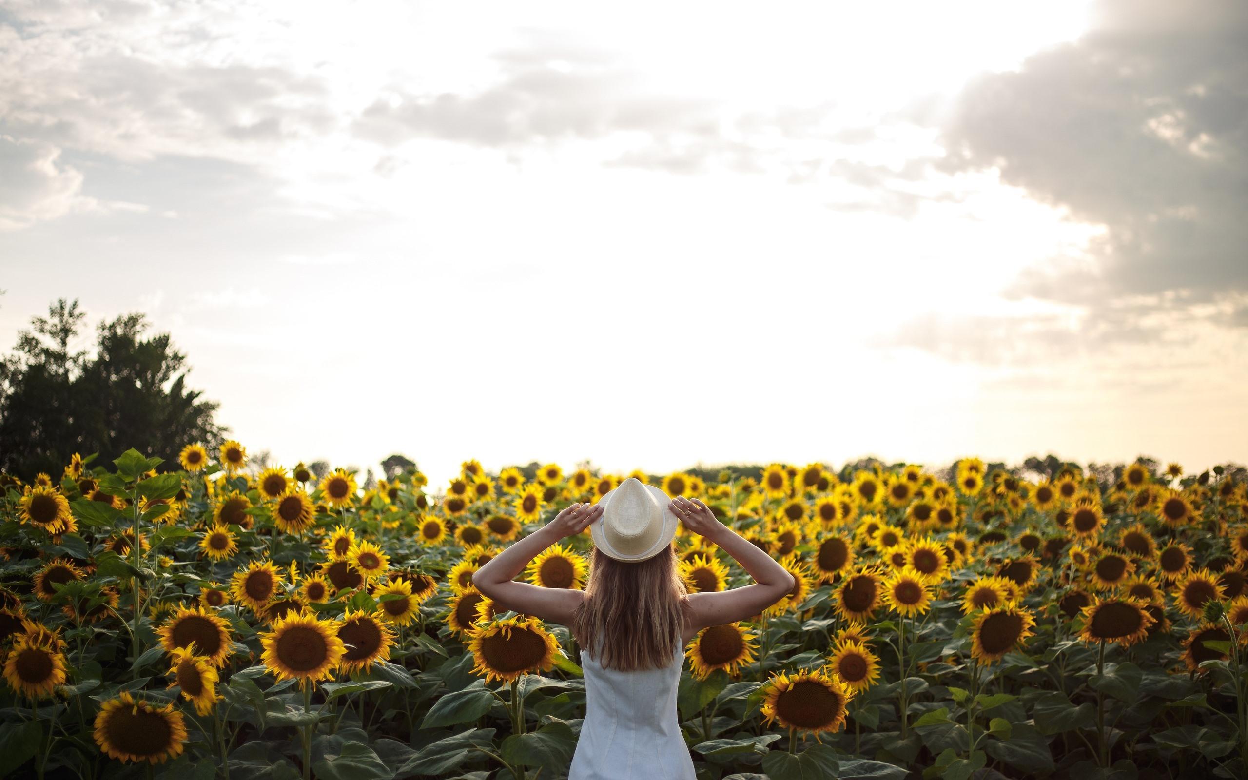 Sunflower Girl Wallpapers Wallpaper Cave