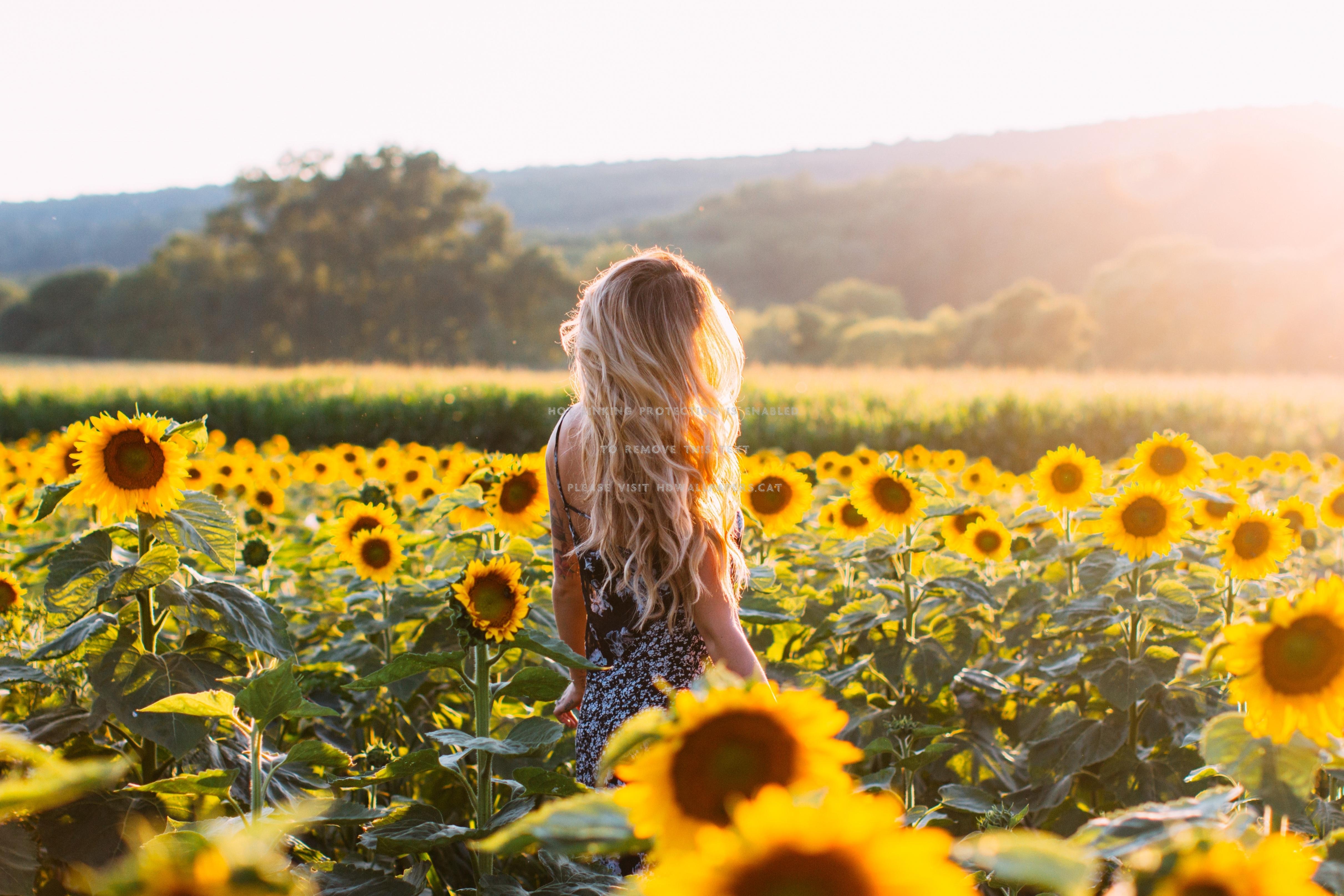Sunflower Girl Wallpapers Wallpaper Cave