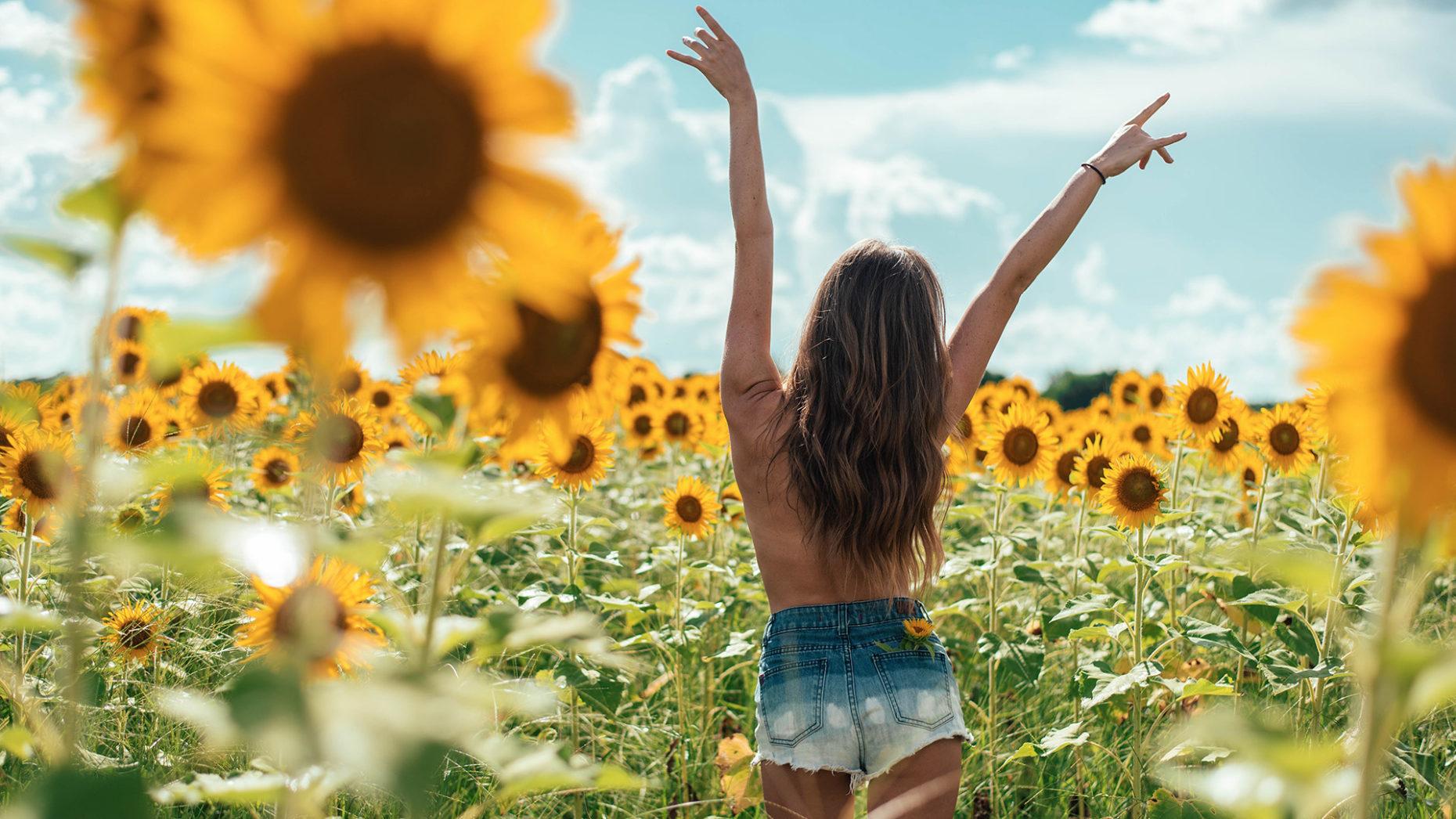 Sunflower Girl Wallpapers Wallpaper Cave