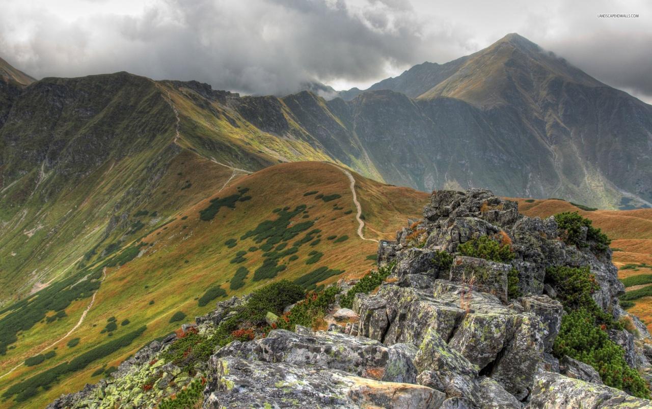 Narrow Wallpapers Wallpaper Cave