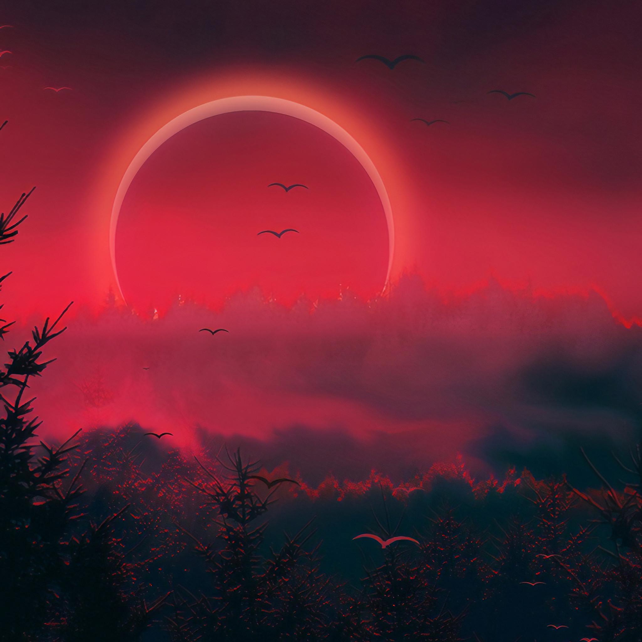 Narrow Wallpapers Wallpaper Cave