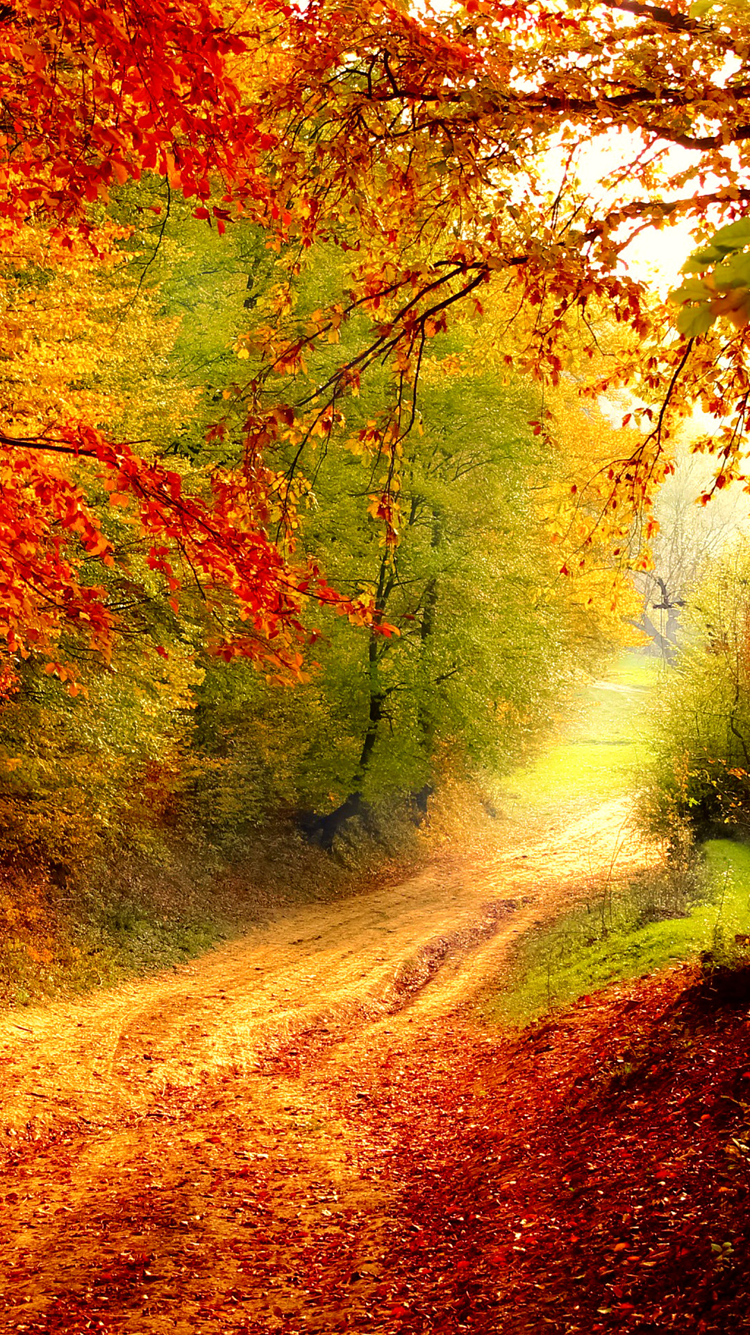 Fall Phone Wallpapers Wallpaper Cave