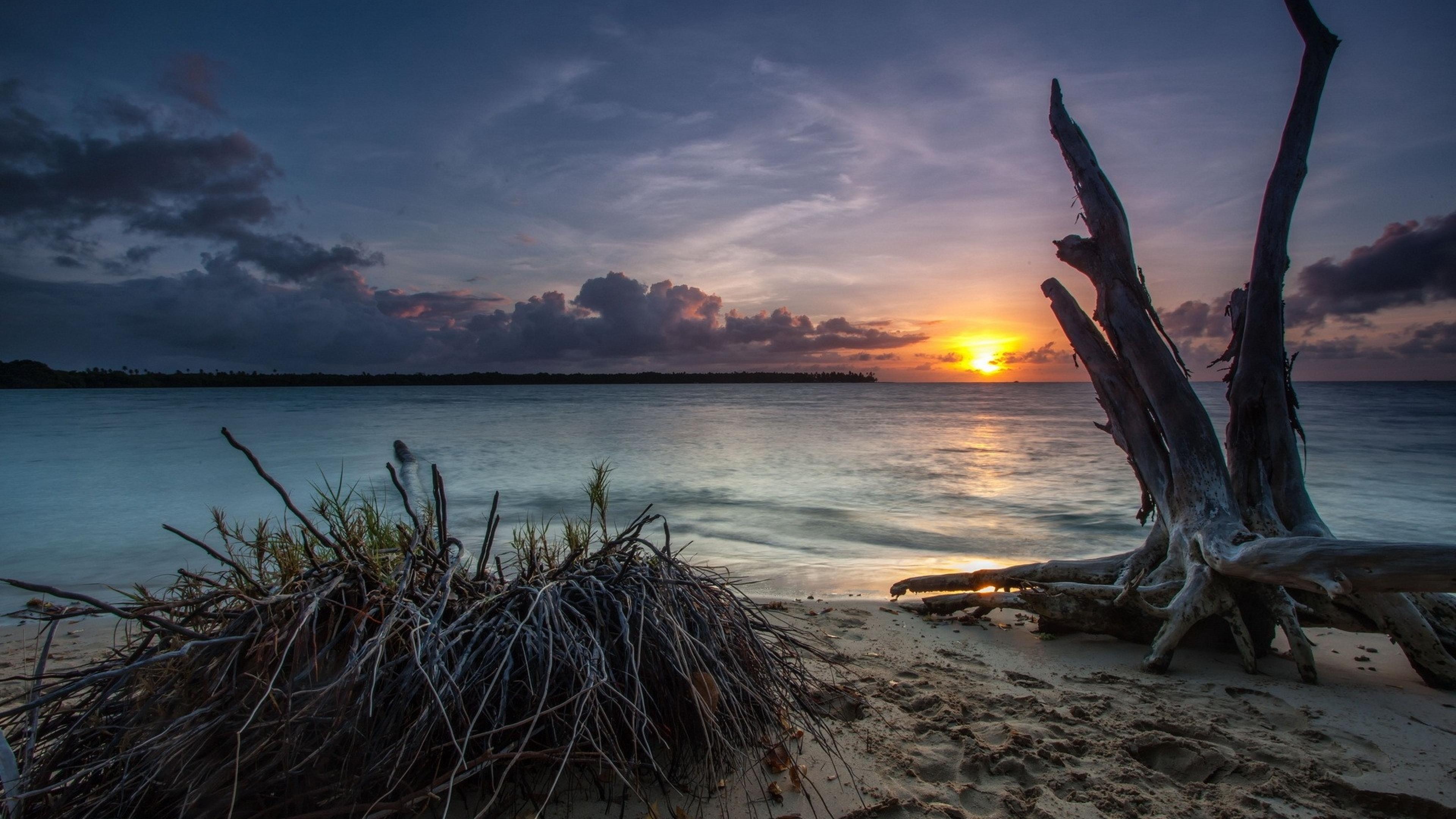 Driftwood Wallpapers Wallpaper Cave