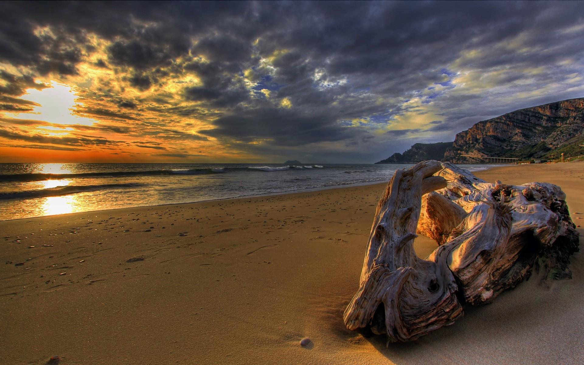 Driftwood Wallpapers Wallpaper Cave