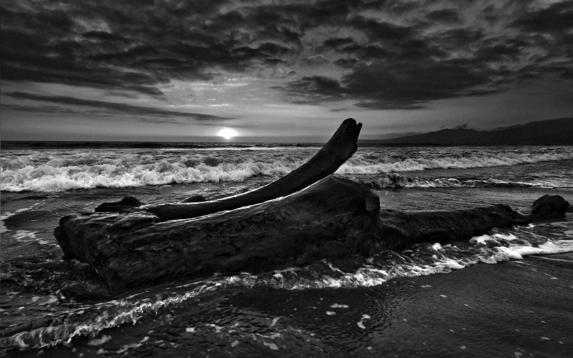 Driftwood Wallpapers Wallpaper Cave