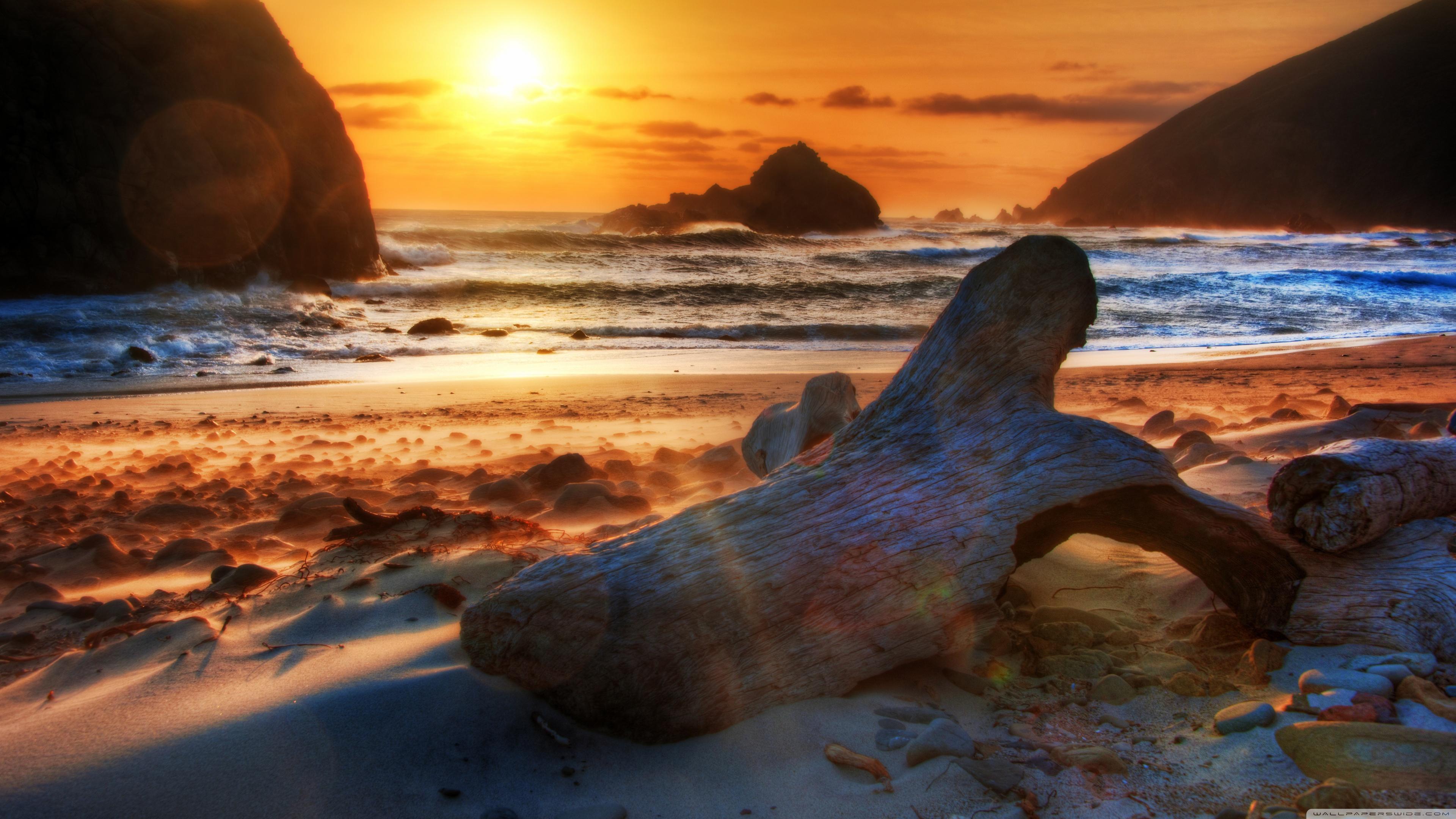 Driftwood Wallpapers Wallpaper Cave