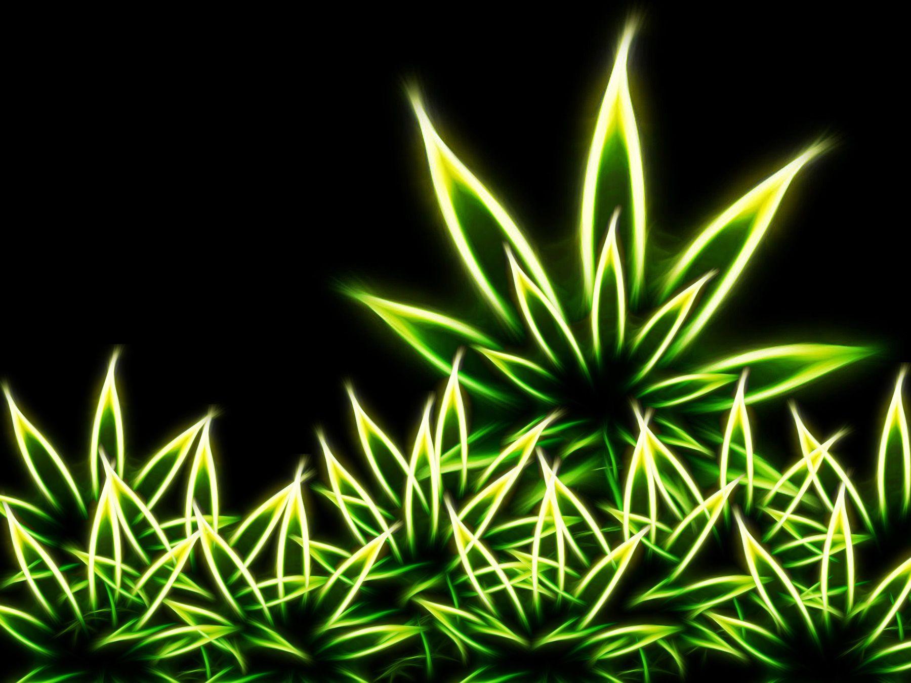 Aesthetic Weed Wallpapers Wallpaper Cave