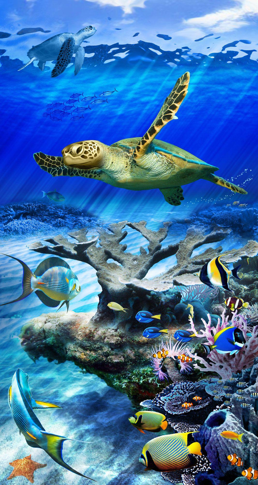 Sea Turtle Phone Wallpapers Wallpaper Cave