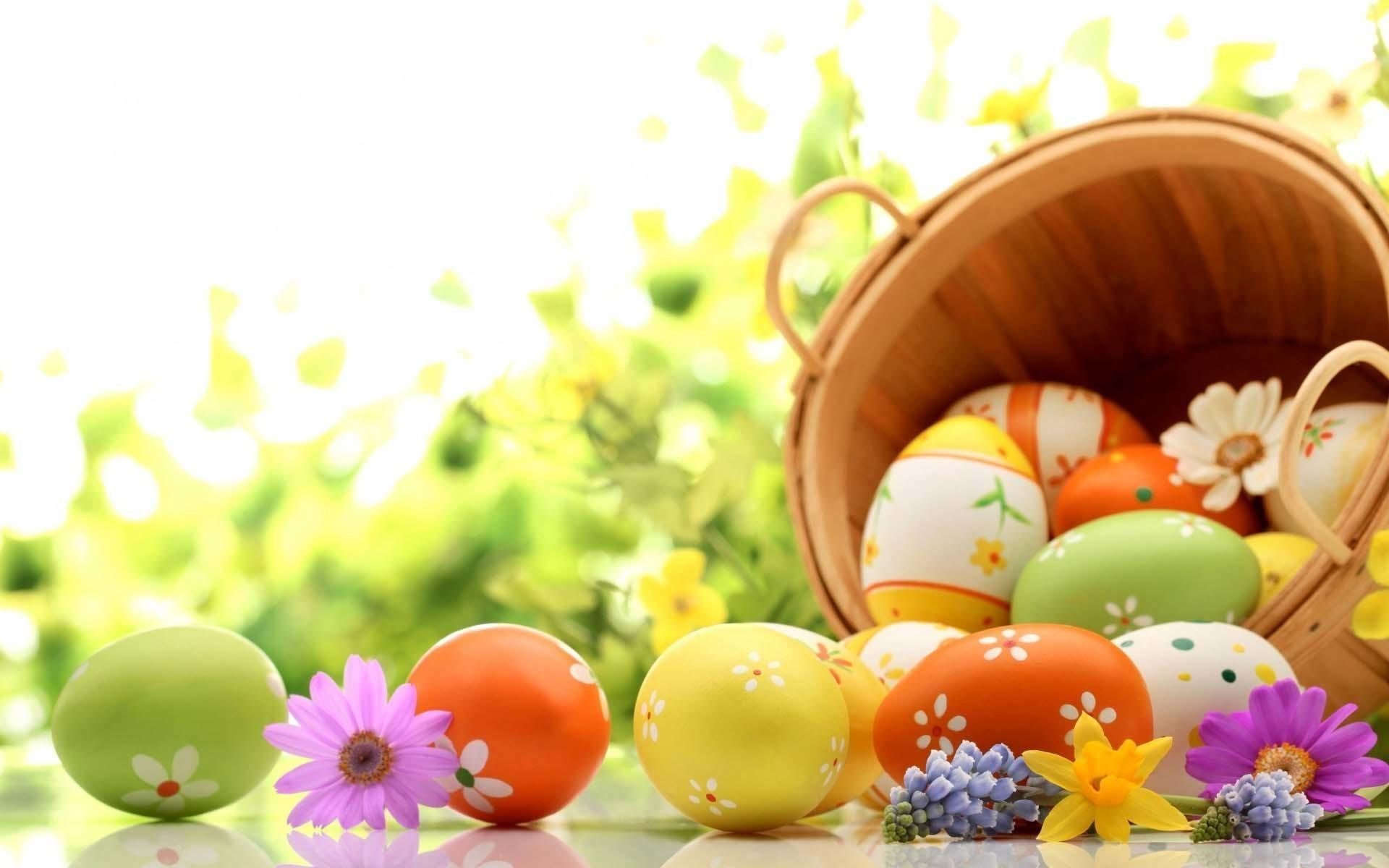 Easter Bunny And Egg Wallpapers Wallpaper Cave