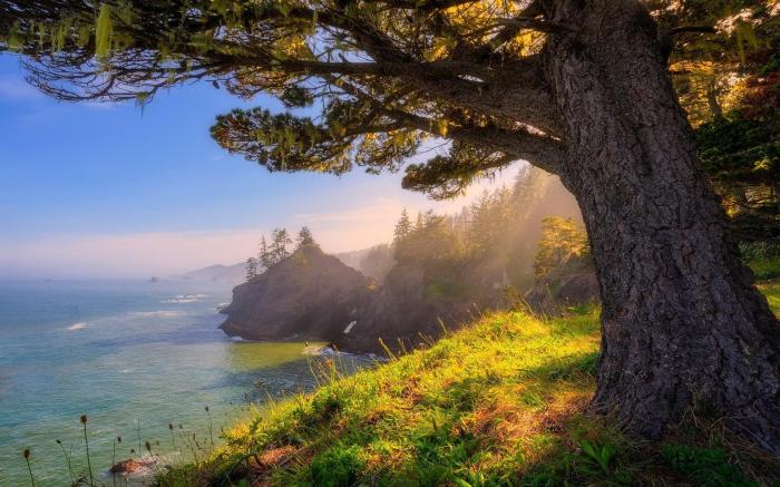 Oregon Coast travel | USA - Lonely Planet Programme tv complet free