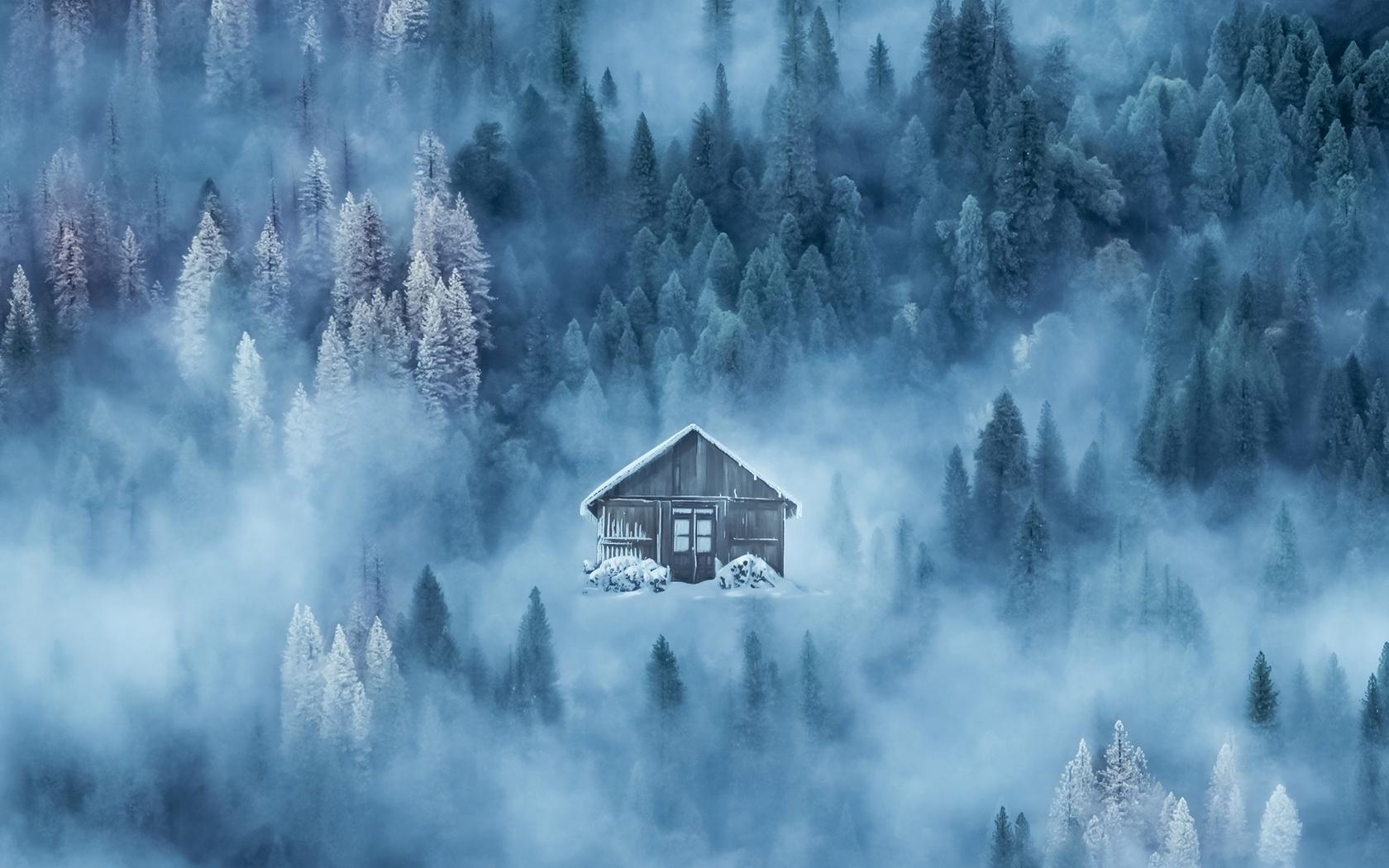 Winter Forest House Wallpapers Wallpaper Cave