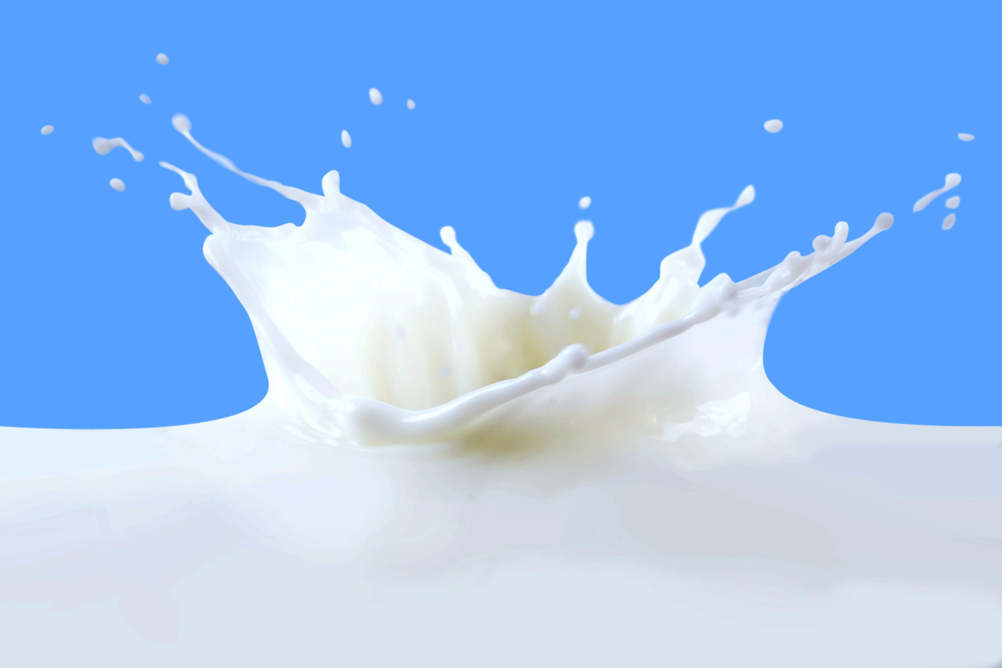 Milk Products Wallpapers Wallpaper Cave