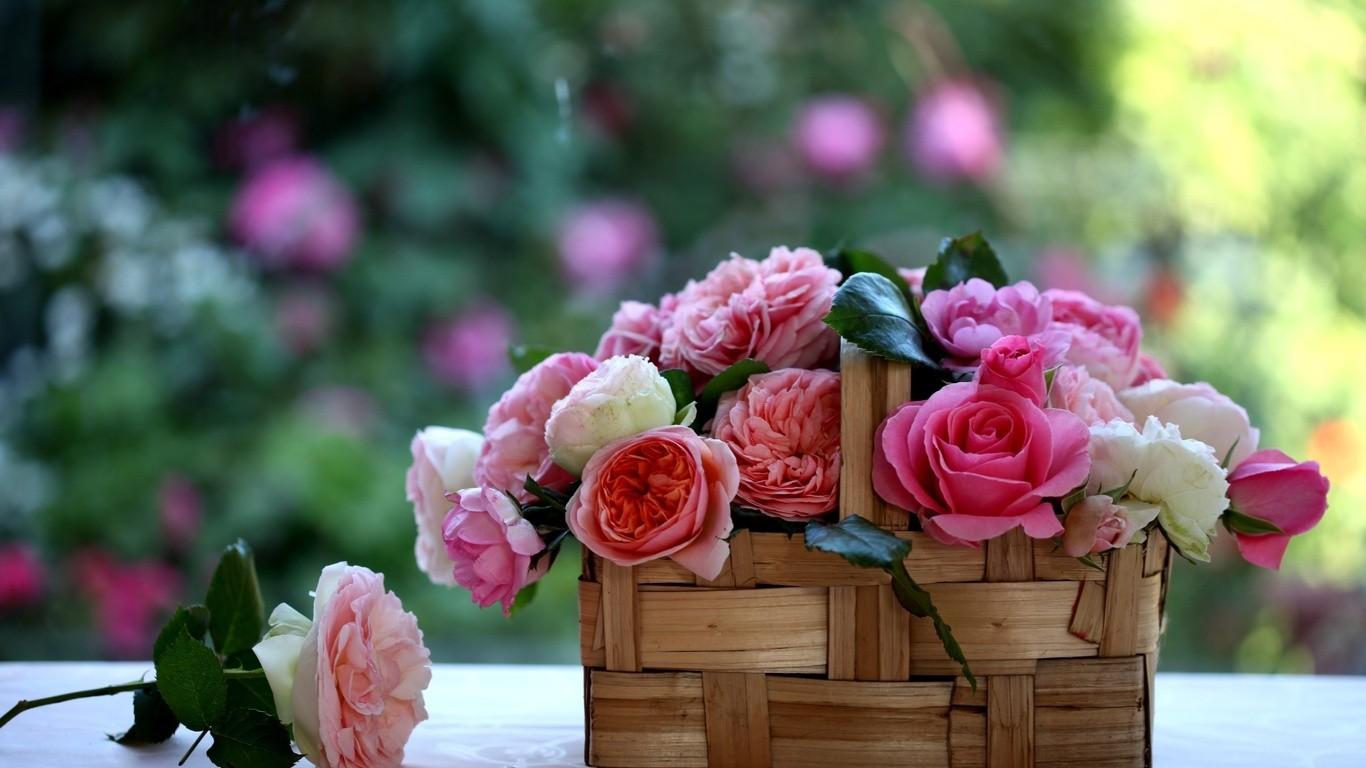 Flowers Basket Wallpapers Wallpaper Cave