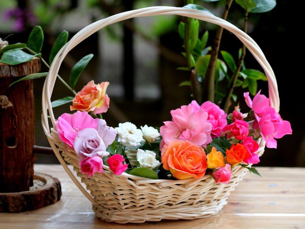 Flowers Basket Wallpapers Wallpaper Cave