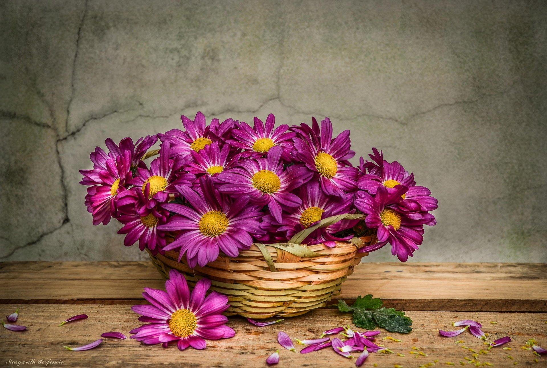 Flowers Basket Wallpapers Wallpaper Cave