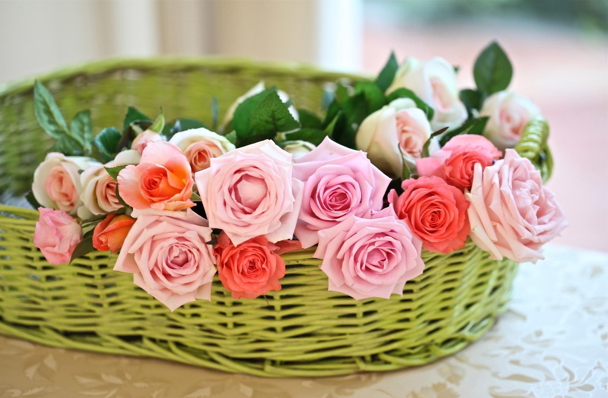 Flowers Basket Wallpapers Wallpaper Cave