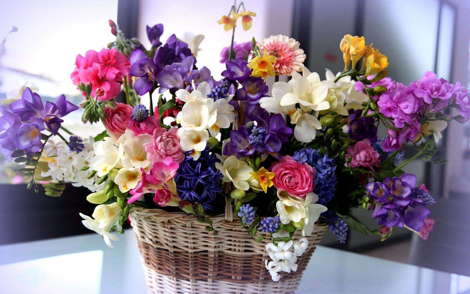 Flowers Basket Wallpapers Wallpaper Cave
