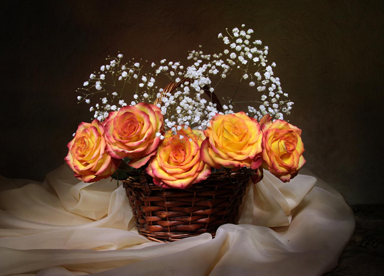 Flowers Basket Wallpapers Wallpaper Cave
