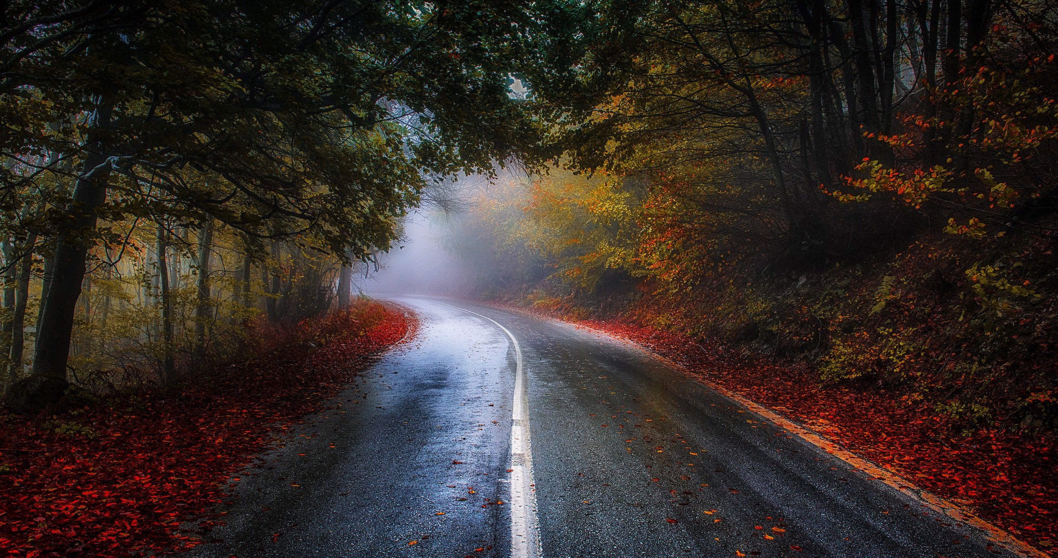 Road Nature Love Wallpapers Wallpaper Cave