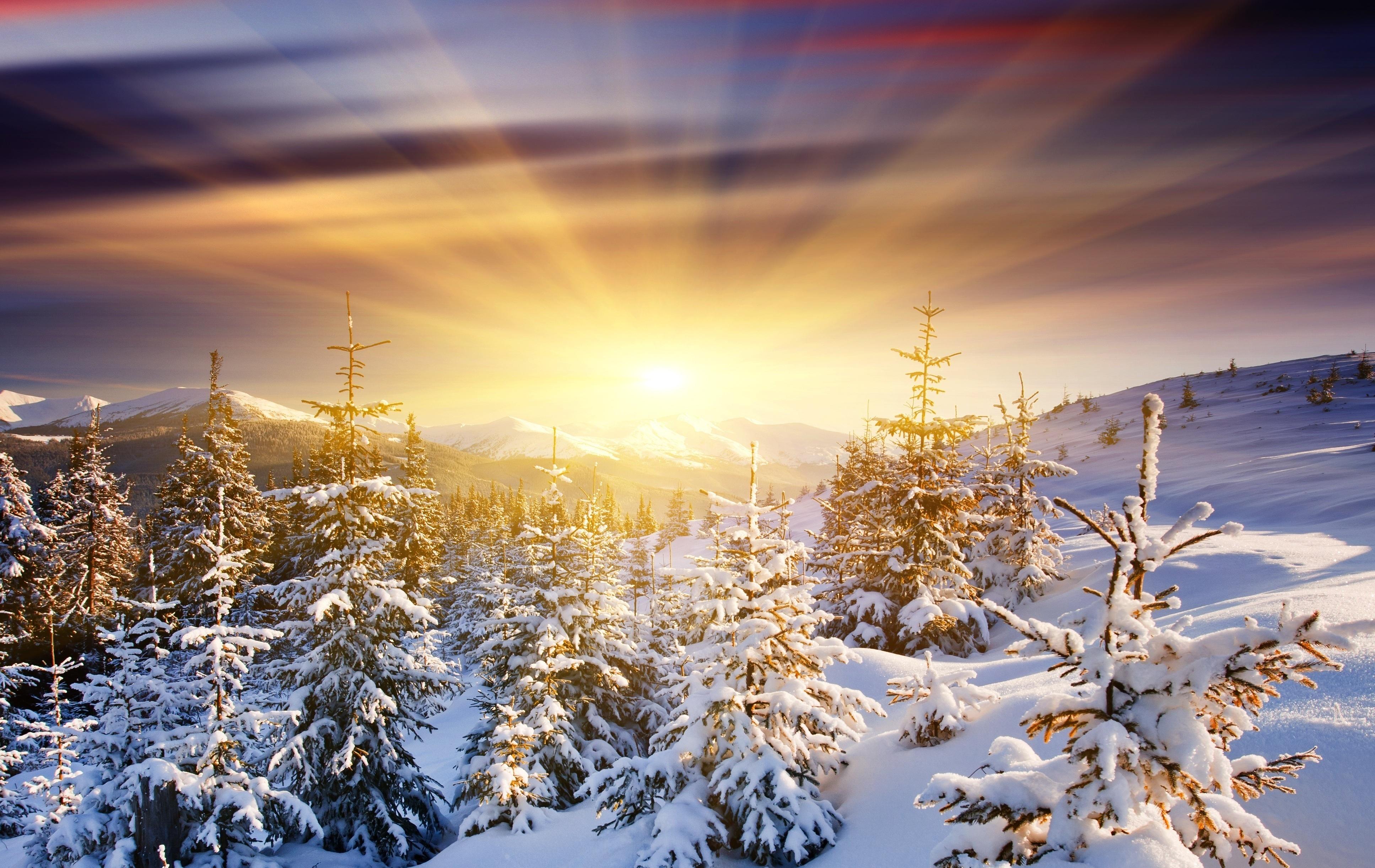 Winter Dawn Wallpapers Wallpaper Cave