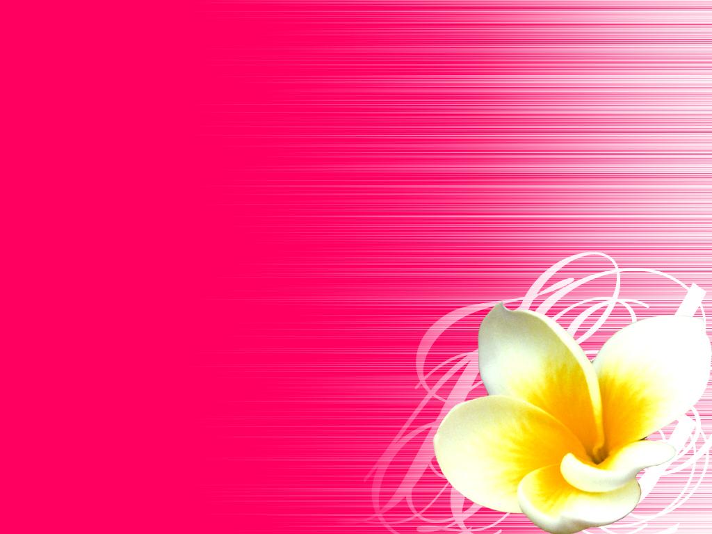Simple Flower Wallpapers Wallpaper Cave