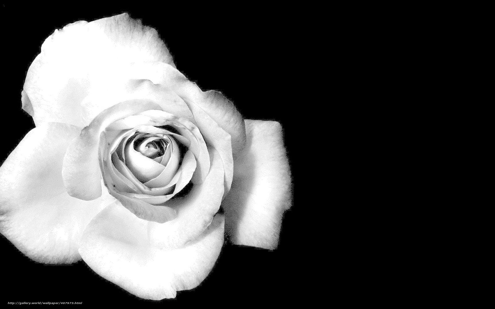 Tumblr Black And White Wallpapers Wallpaper Cave