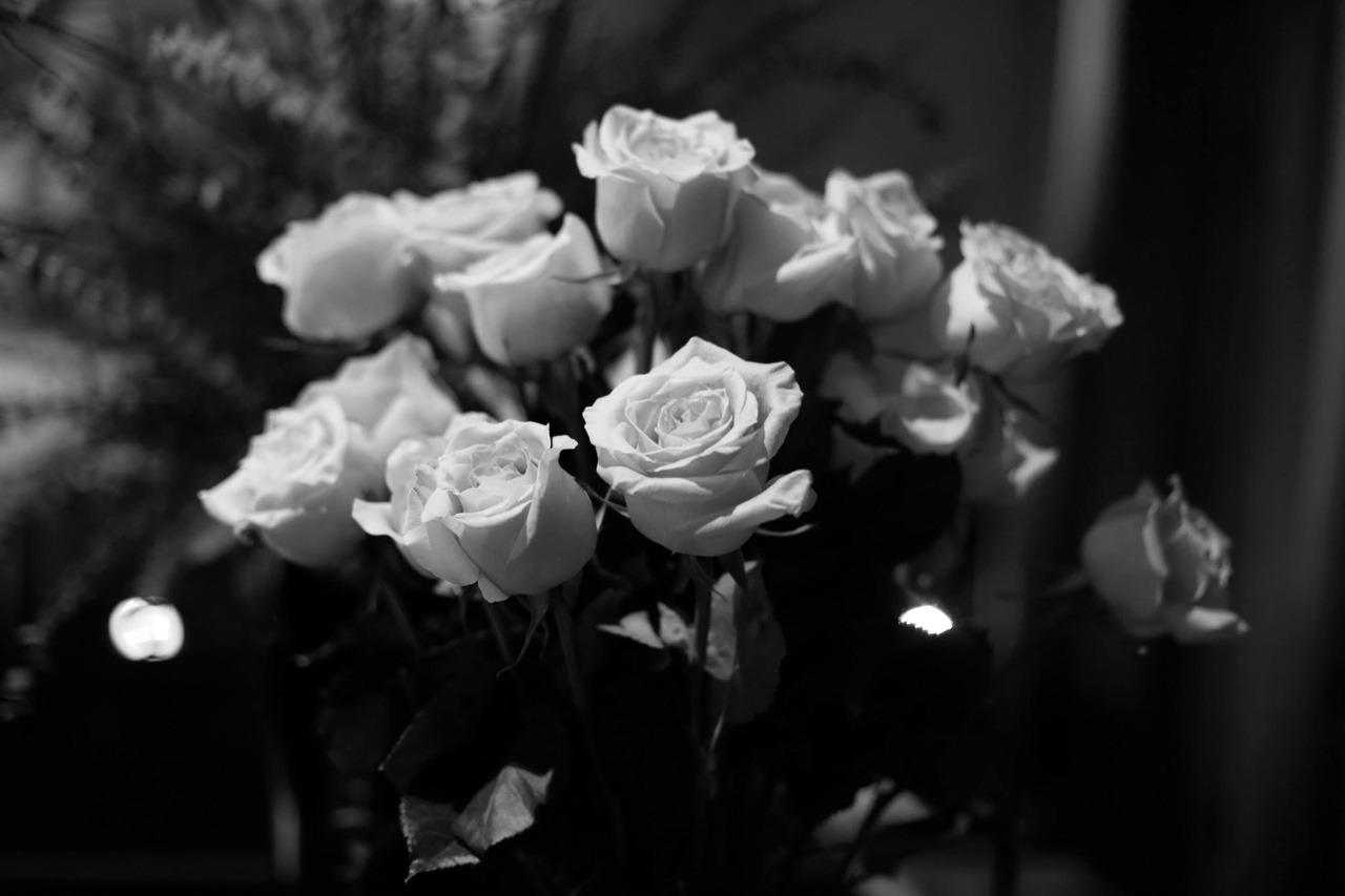Tumblr Wallpapers Black And White Flowers