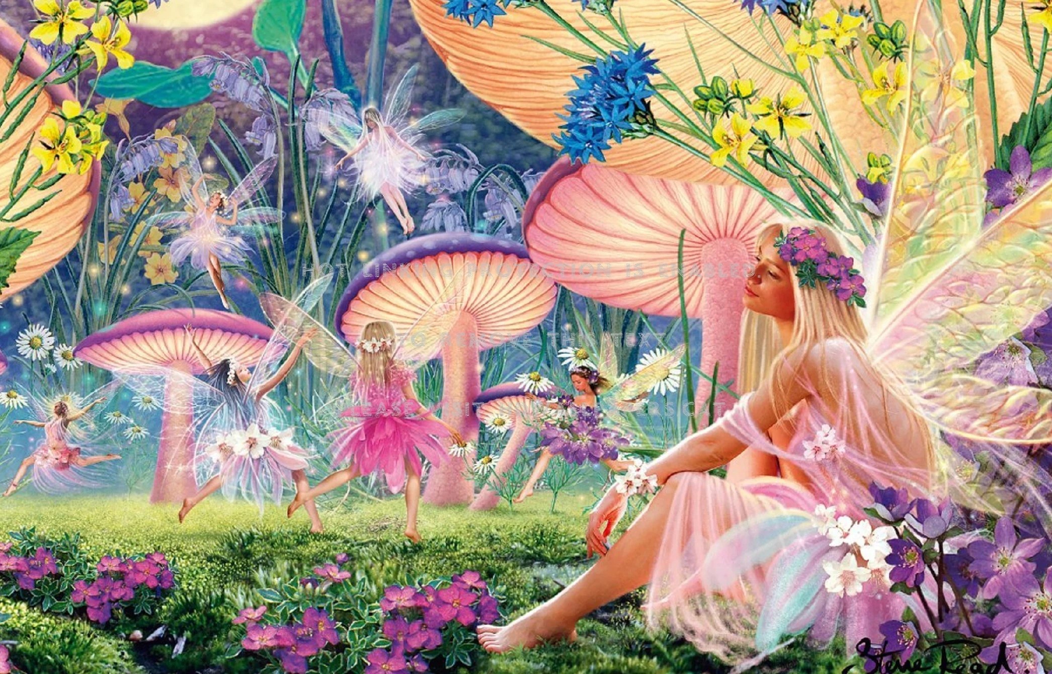 Fairie And Flowers Wallpapers Wallpaper Cave