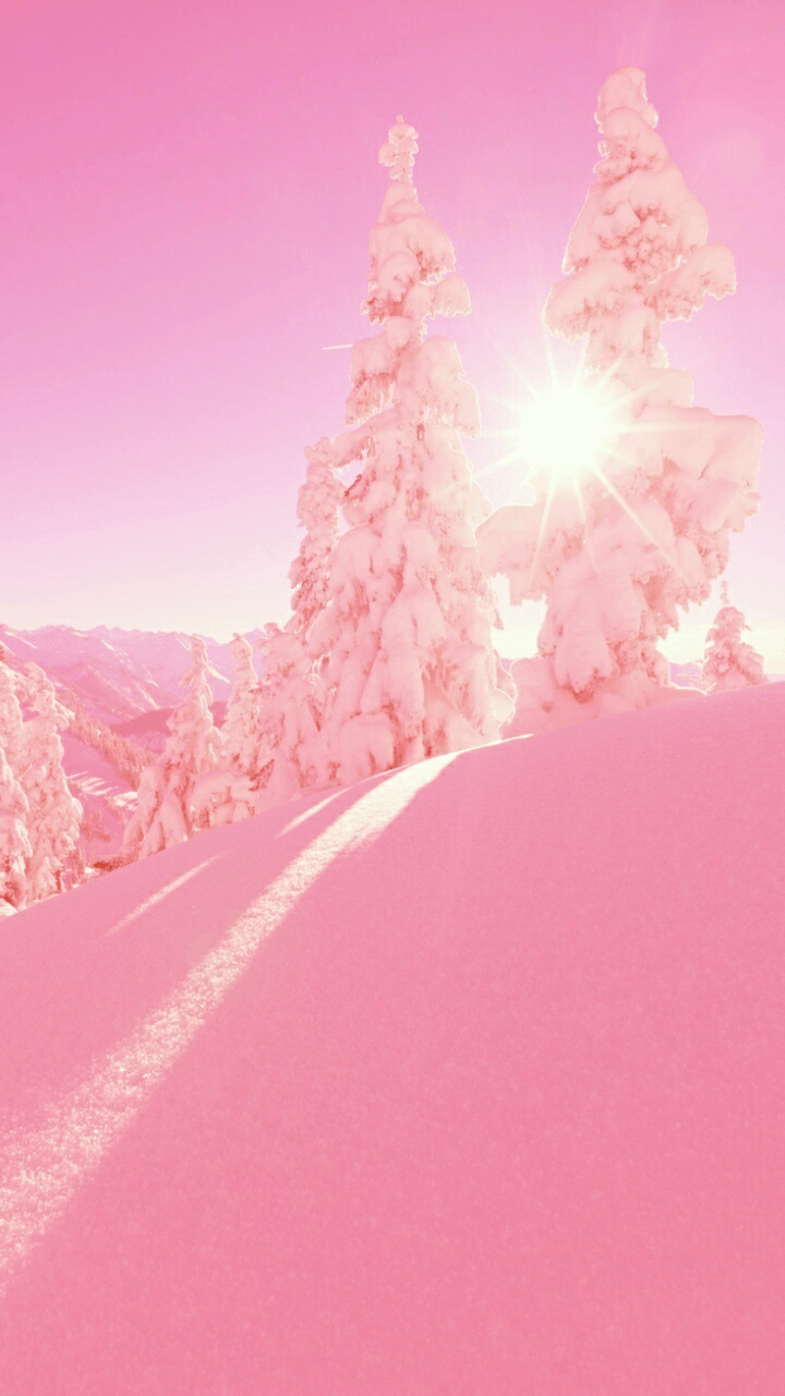 Winter Pink Wallpapers Wallpaper Cave