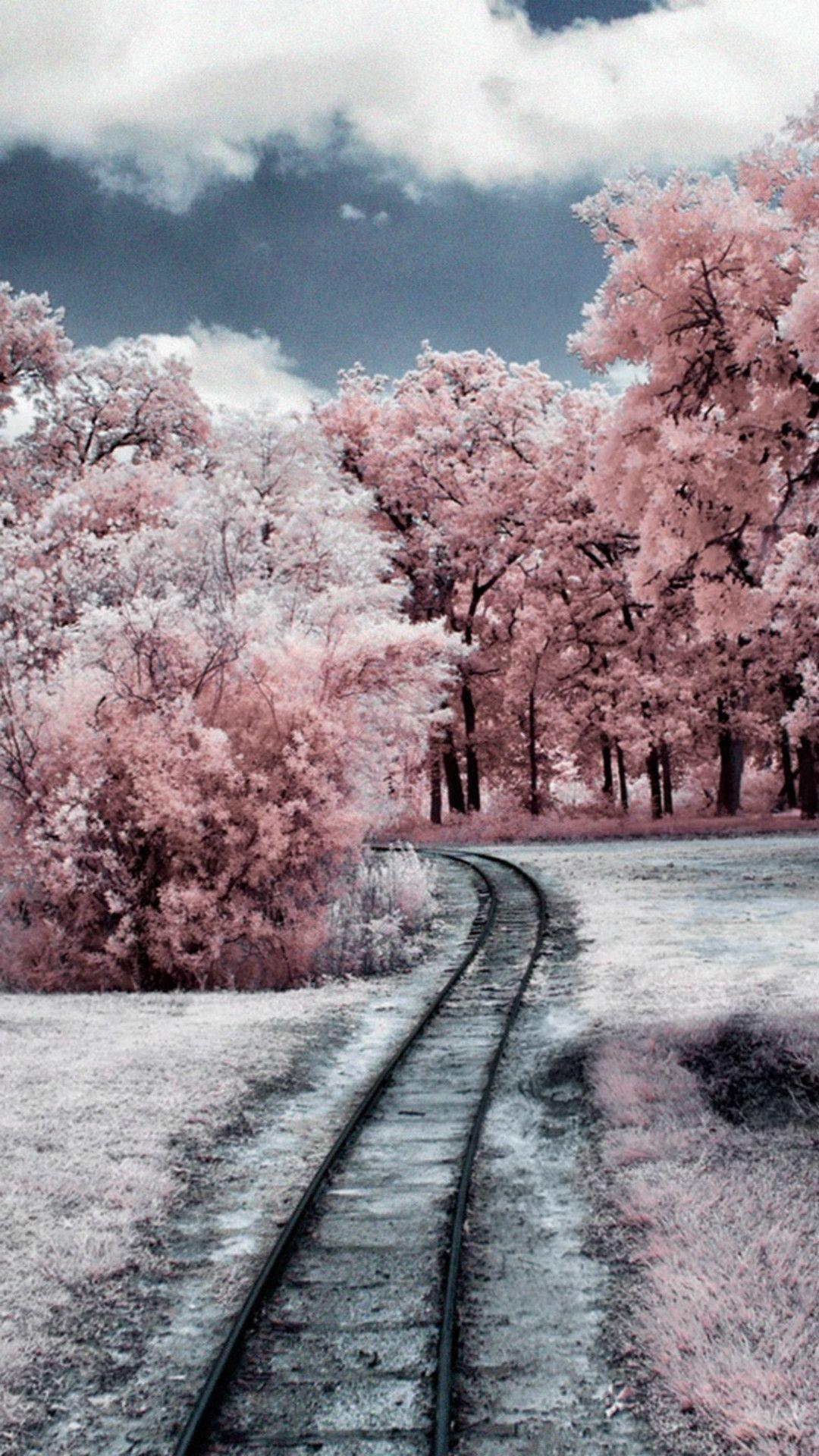 Winter Pink Wallpapers Wallpaper Cave