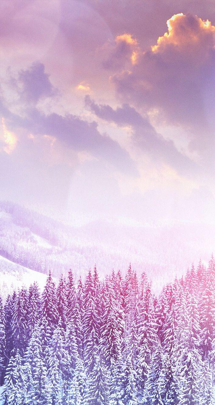 Winter Pink Wallpapers Wallpaper Cave